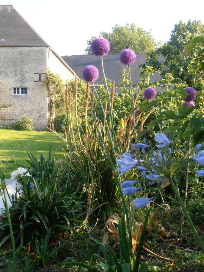 Ferme De Savigny Bed and Breakfast La Cambe Exteriör bild